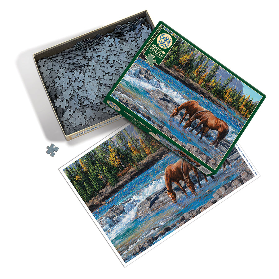 On the Rocks | 1000 Piece