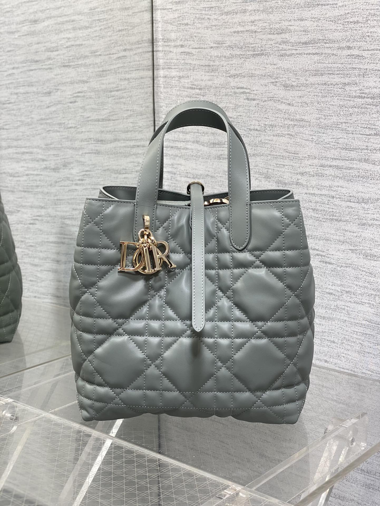 Dior Toujours Vertical Series Medium