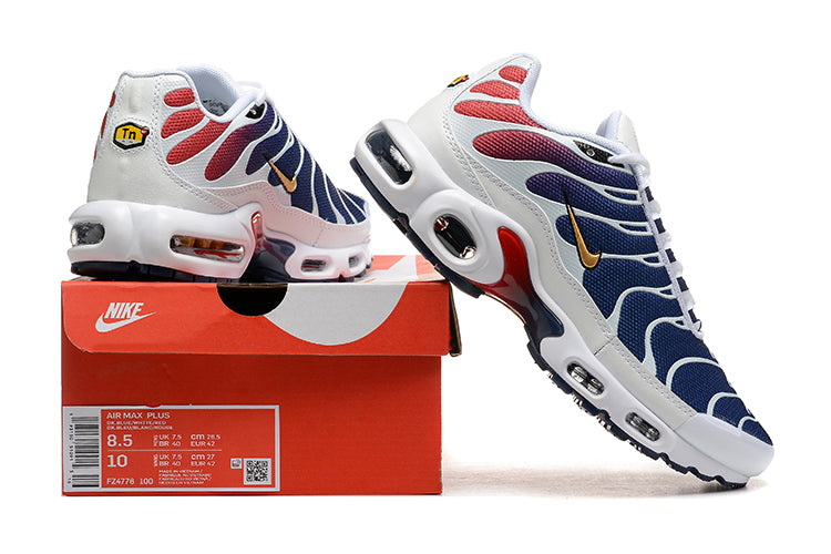 Tn Air Max Plus Shoes