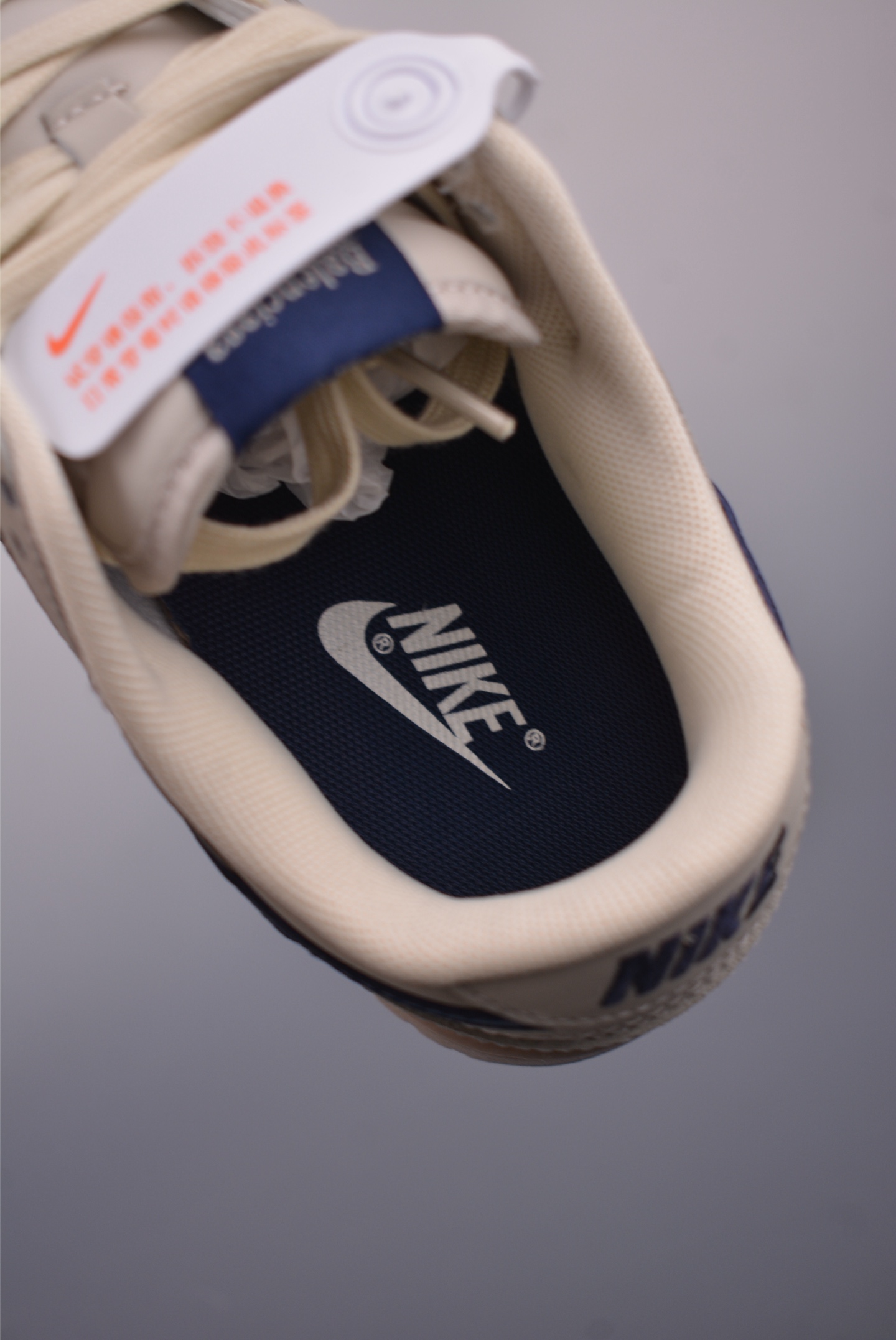 Balenciaga x Nike SB Dunk Low 