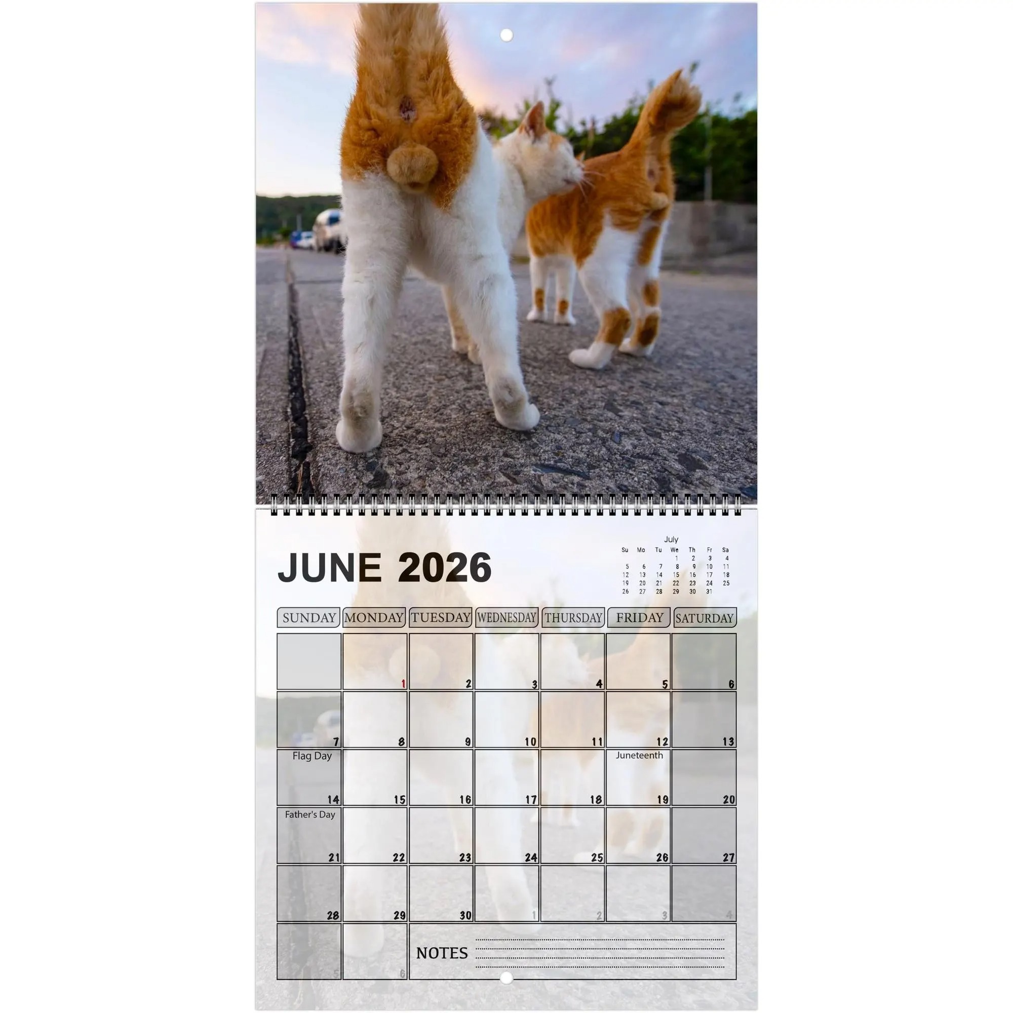 Cats' Buttholes 2026 Calendar: Funny Gag Gift for Cat Lovers