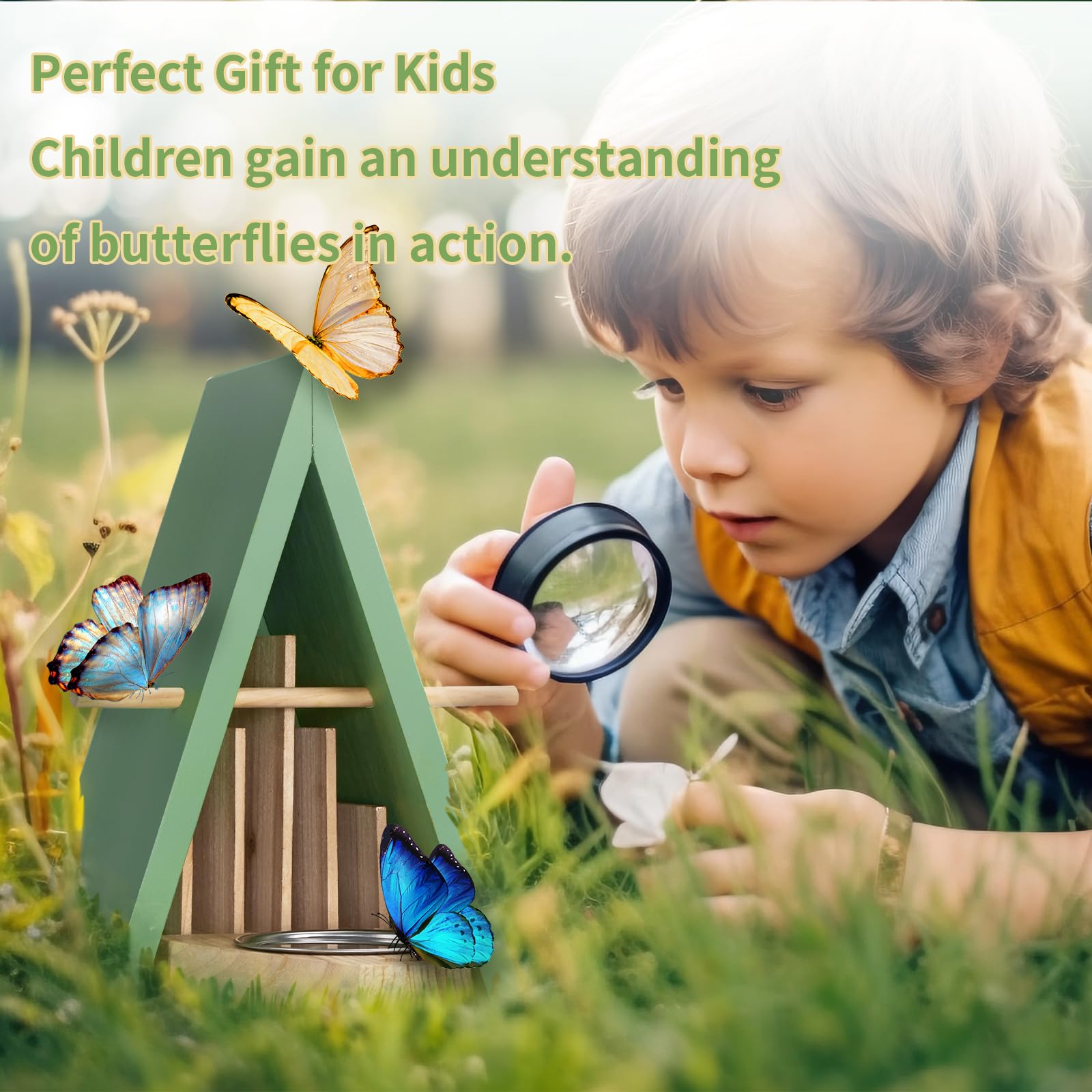 🦋 Butterfly House & Feeder – Natural Habitat to Attract Butterflies to Your Garden!