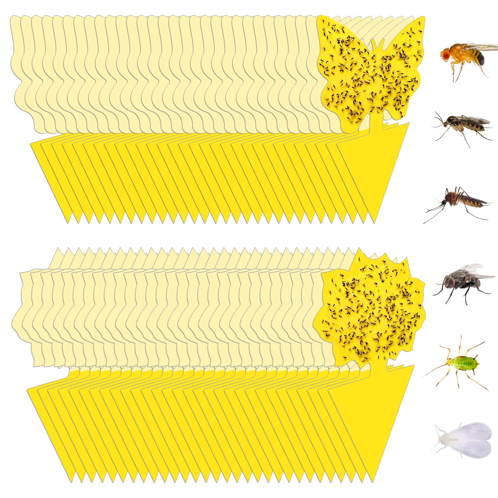 🔥Mother's Day Early Sale-[SAVE 50% OFF]--Double-sided Special-shaped Sticky Insect Trap--BUY 5 SETS GET 5 SETS FREE & FREE SHIPPING