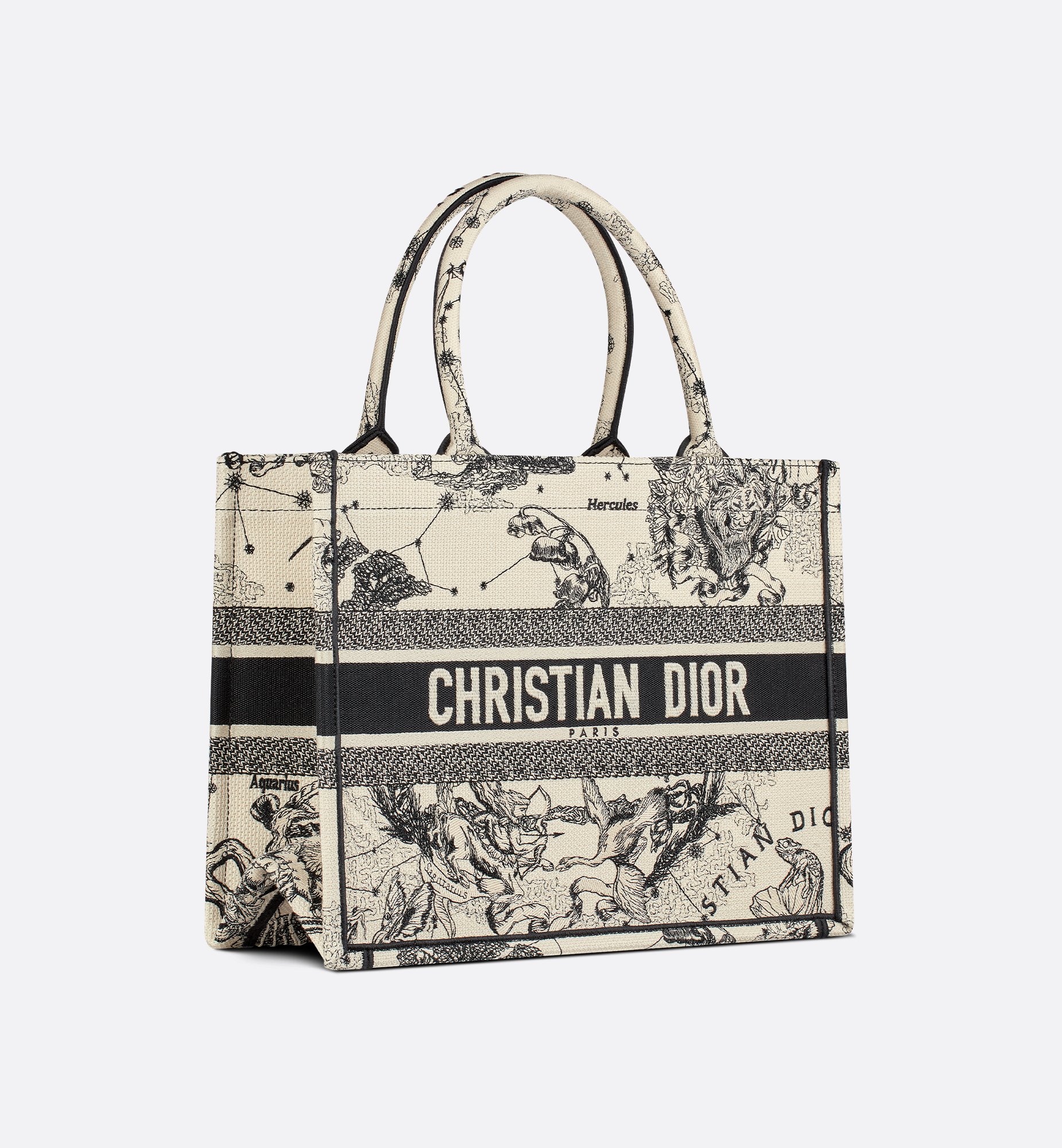 Dior Medium Book Tote Bag M1296ZRHZ_M06E