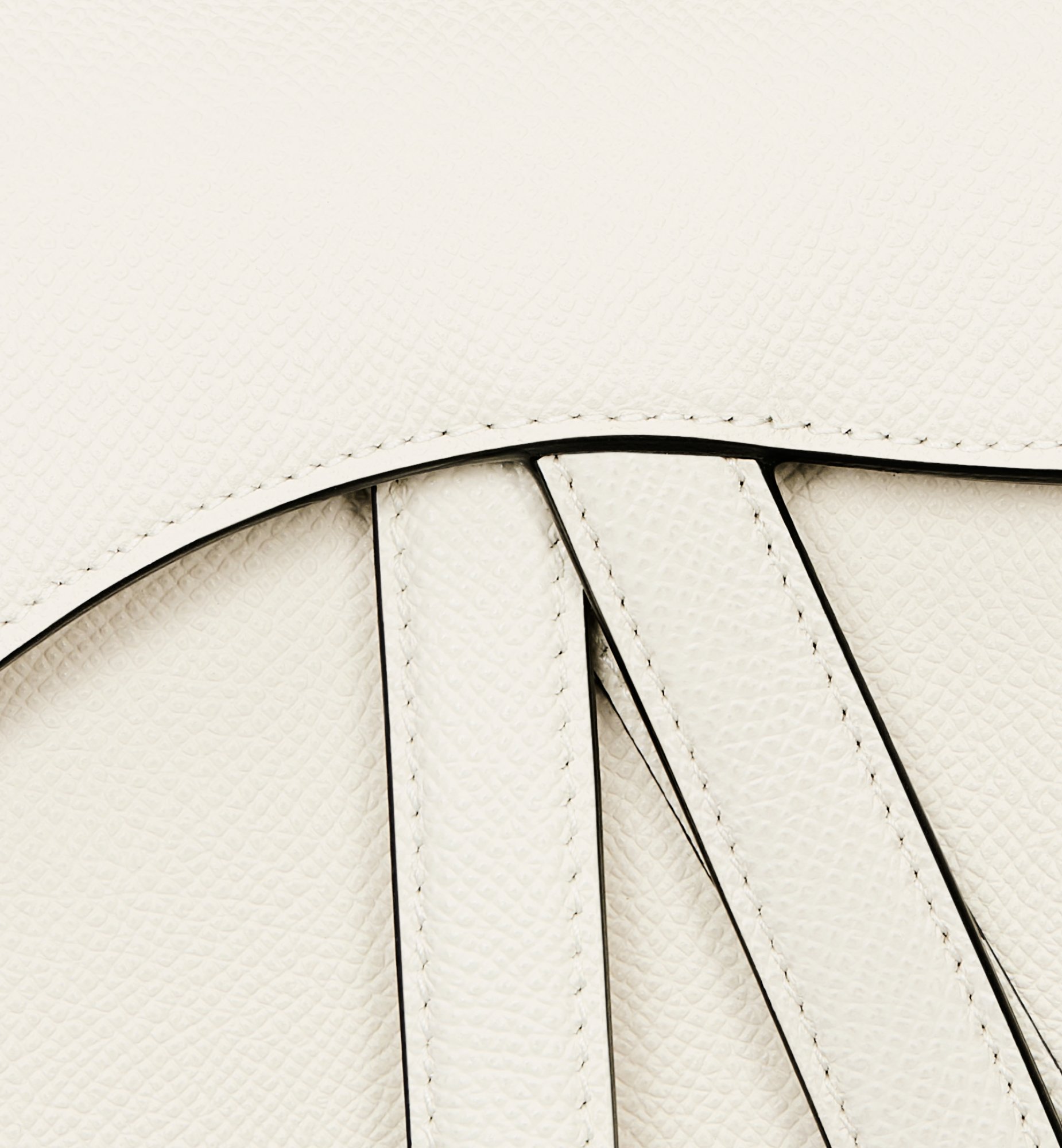 Dior Mini Saddle Bag (with Shoulder Strap) M0456CBAA_M030