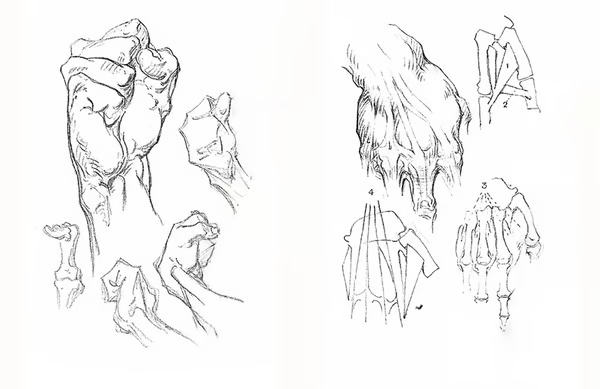 🎨Character Drawing Secrets+Character Drawing: The Dot Method Set | Korean with English(📚HARDCOVER BOOK)