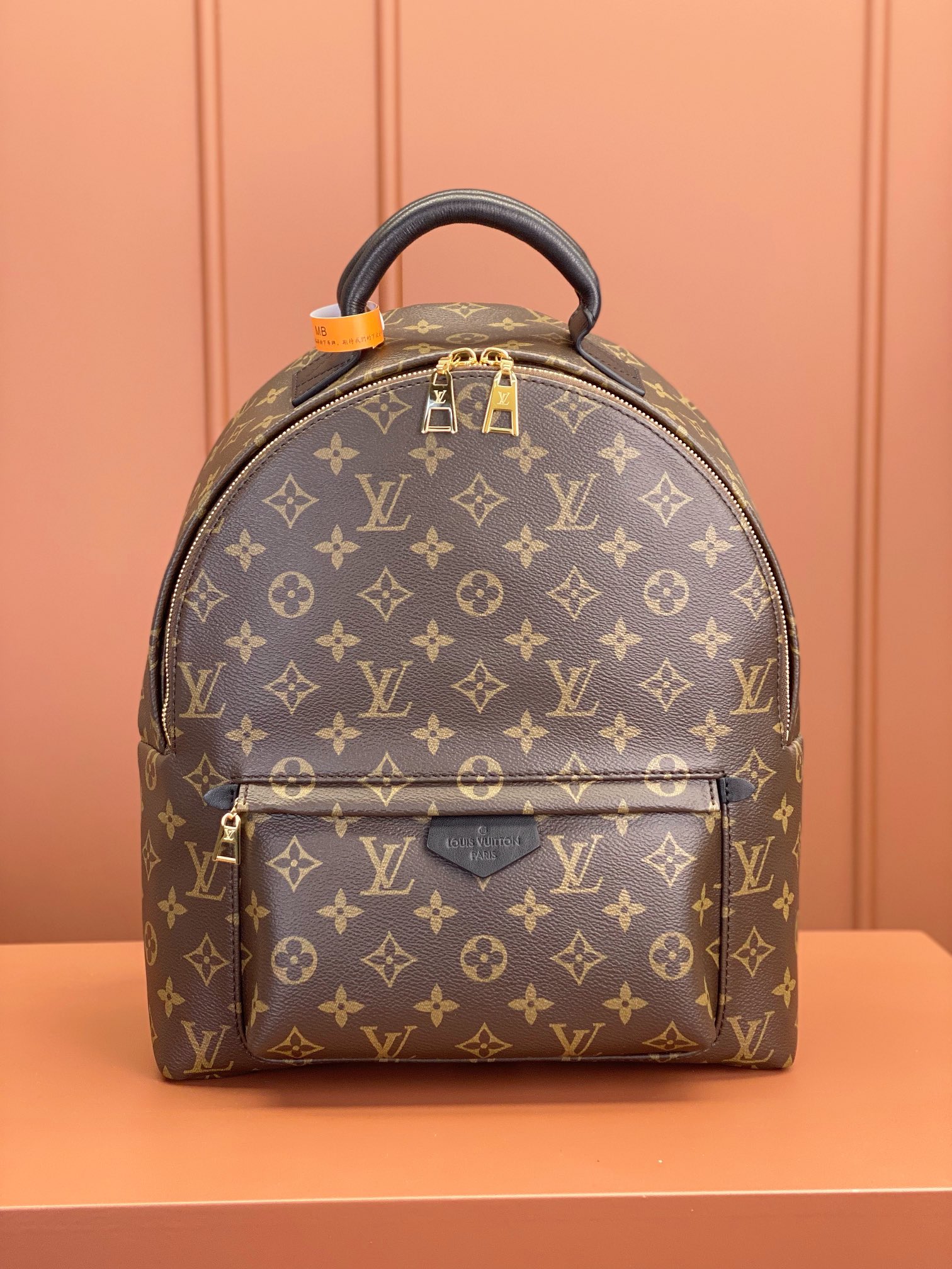 Louis Vuitton PALM SPRINGS Medium Backpack M44874