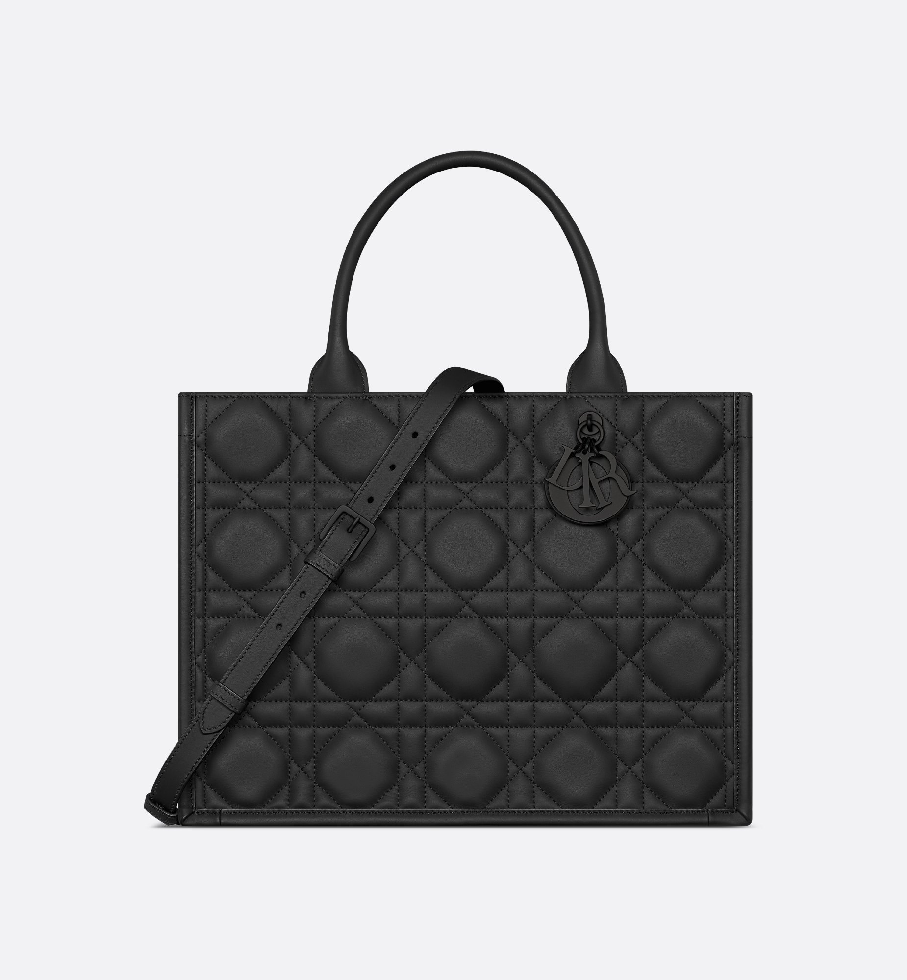 Dior Medium Book Tote Bag M1324SLOI_M900