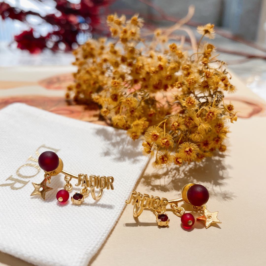 Dior Lettering Red Onyx Earrings