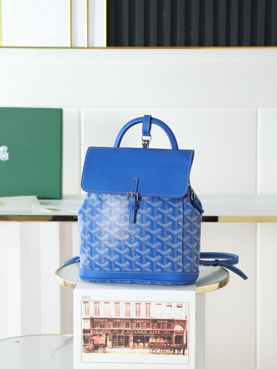 Goyard Aln Mini Backpack 020194