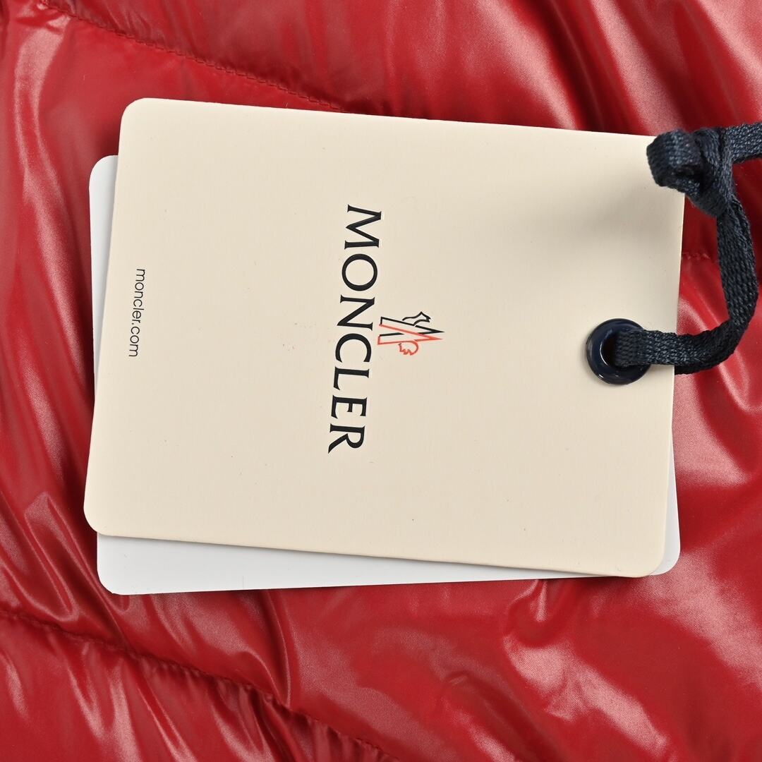 Moncler Fuster Series Down Jacket