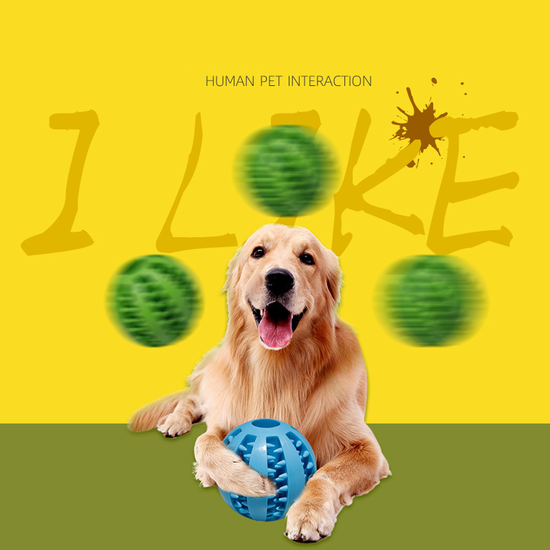 (🔥Clearance Sale Today-46% OFF)Pet teething toy ball-BUY 3 GET 20% OFF & FREE SHIPPING