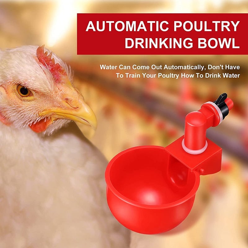 (🔥Last Day Promotion-SAVE 65% OFF)🔥Automatic Chicken Water Cup Waterer Kit -BUY 10 GET 10 FREE & FREE SHIPPING