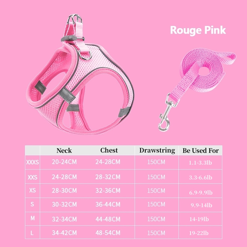 Cat Harness & Leash