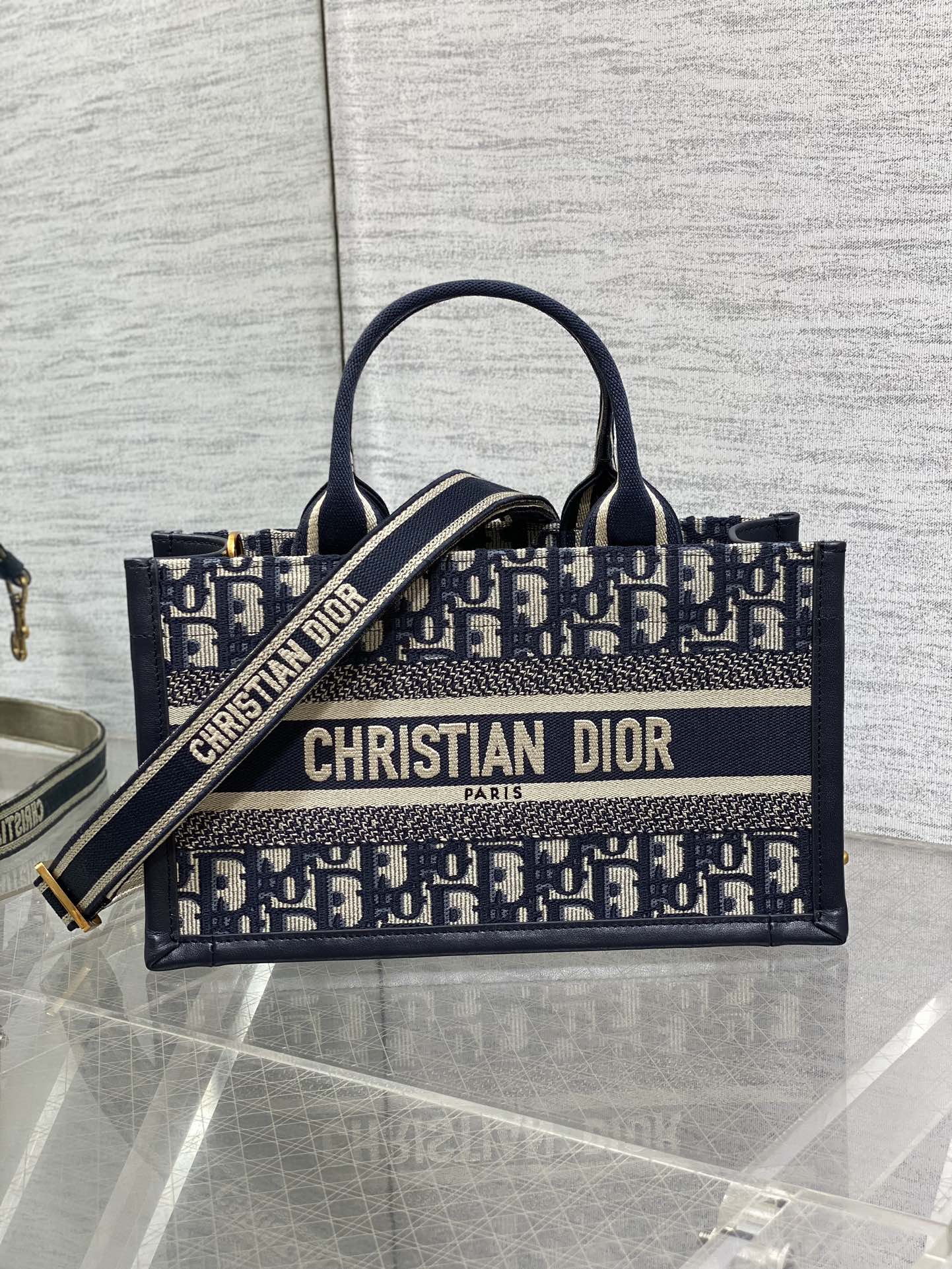 Dior Mini Tote Bag
