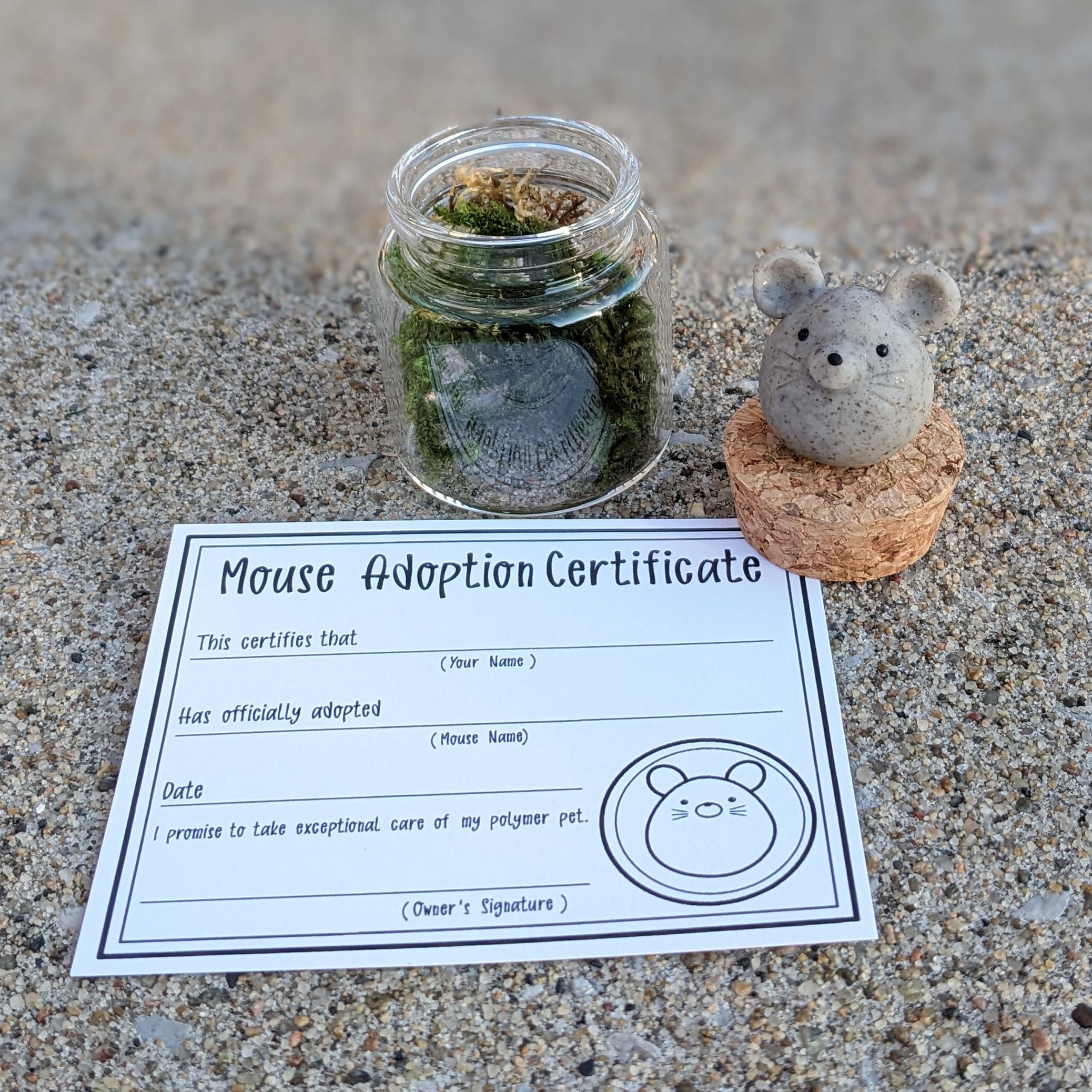 On Sale🔥Adopt A Rock Pet