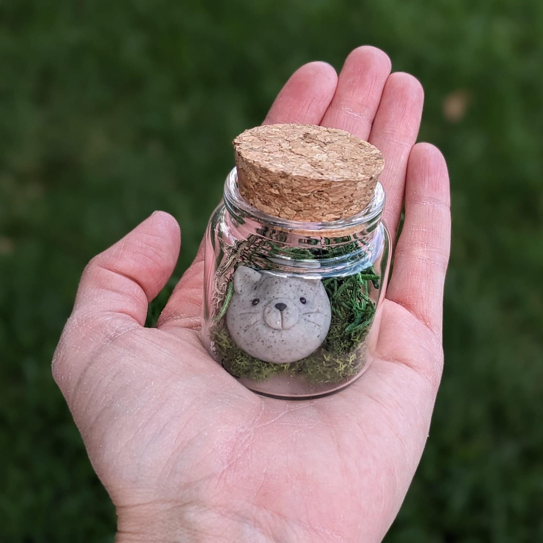 On Sale🔥Adopt A Rock Pet