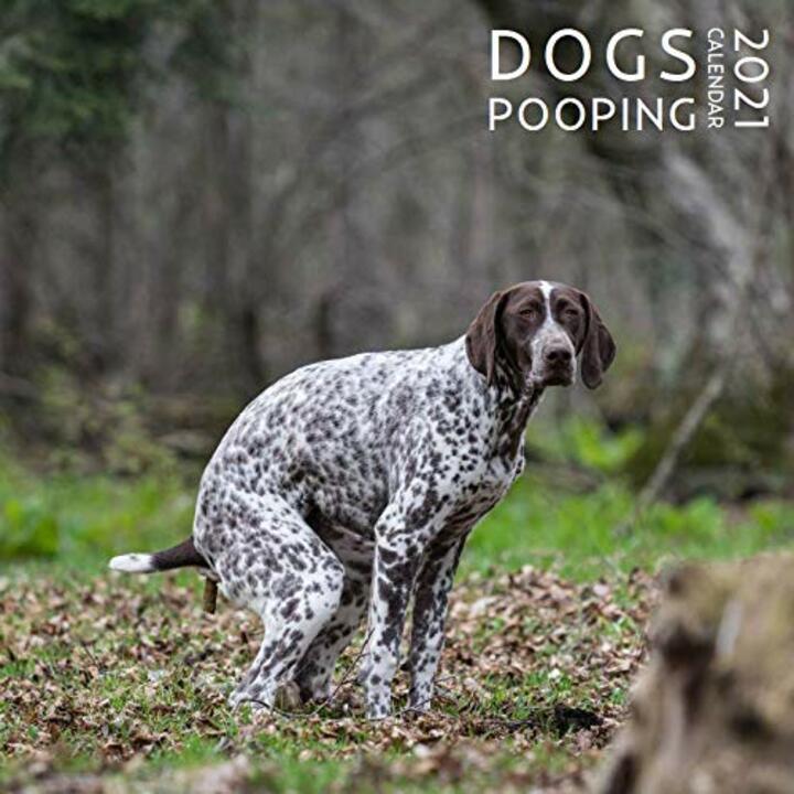 2021 Pooping Pooches White Elephant Gag Gift Calendar Calendar