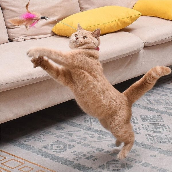 🔥Last Day Promotion-SAVE 50% OFF🔥Free hands collar cat teaser stick😻-BUY 5 GET 5 FREE(10PCS)&FREE SHIPPING