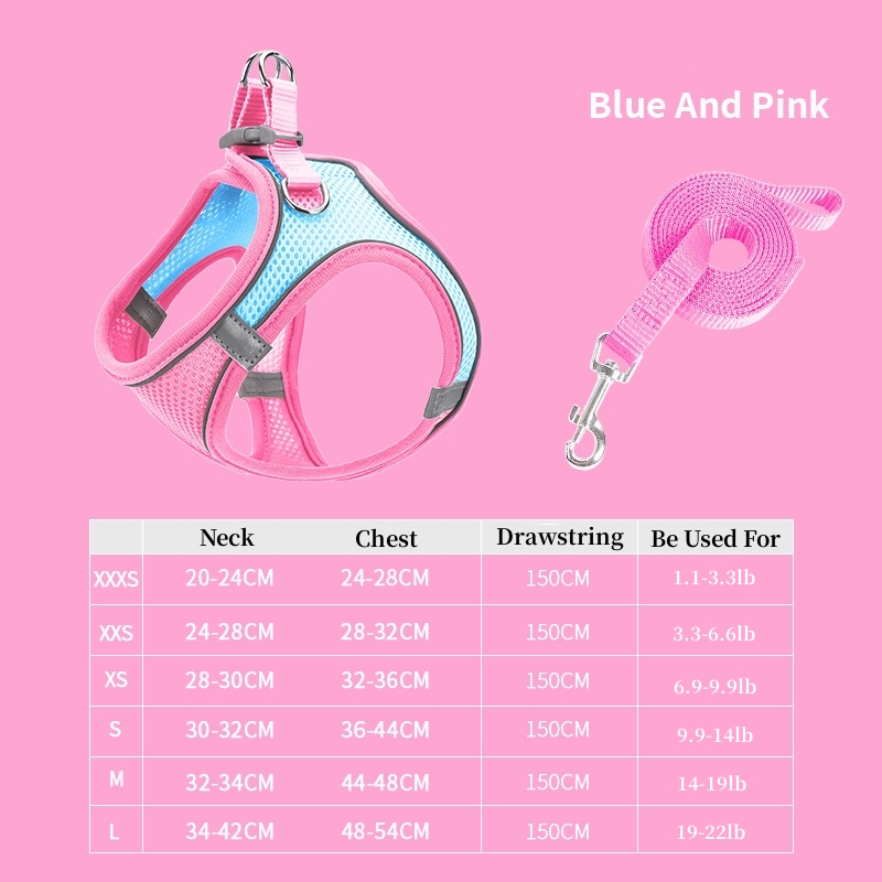 Cat Harness & Leash