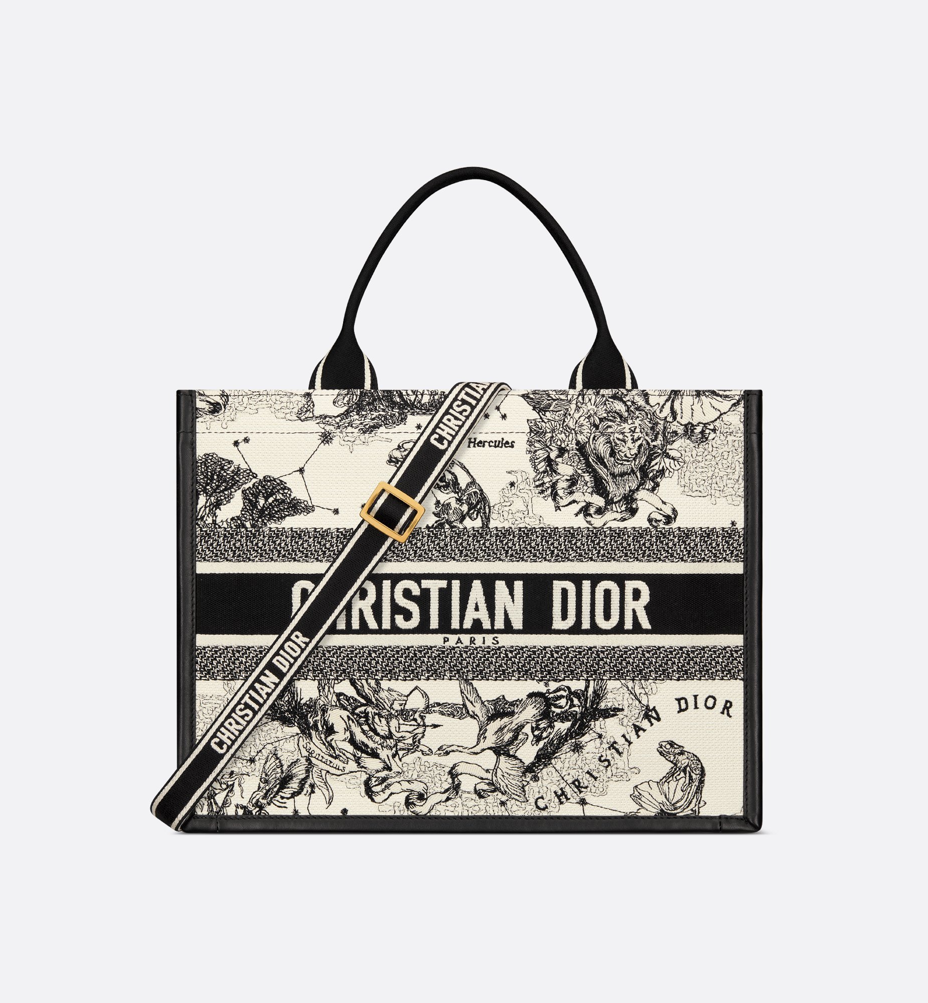 Dior Medium Book Tote Bag M1324CETW_M06E