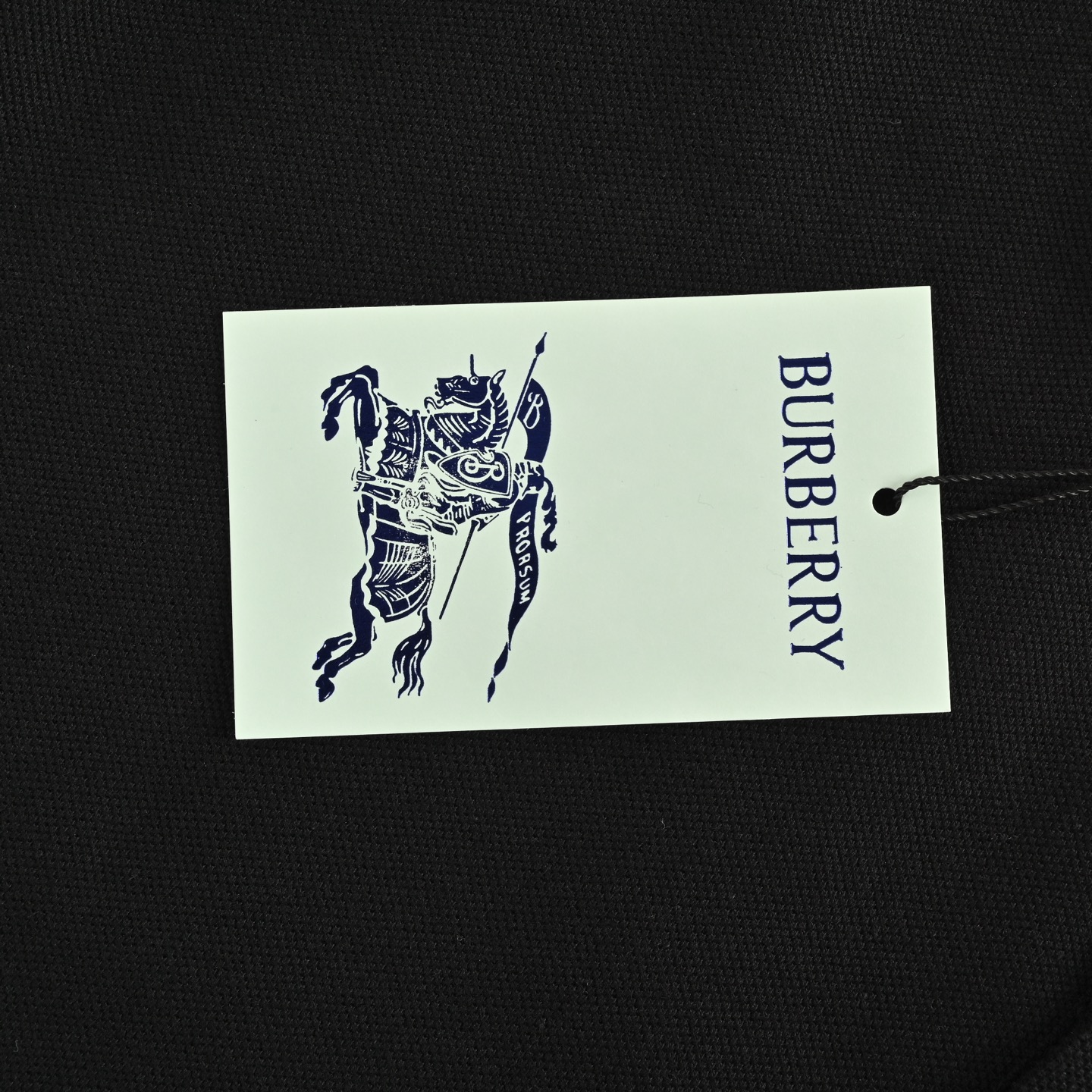 Burberry 25ss Warhorse Logo Embroidered Polo Short Sleeve