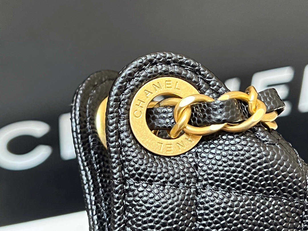 Chanel 23P Spring/Summer Series No. 5 Gold Coin Hobo Hippie Bag 3710