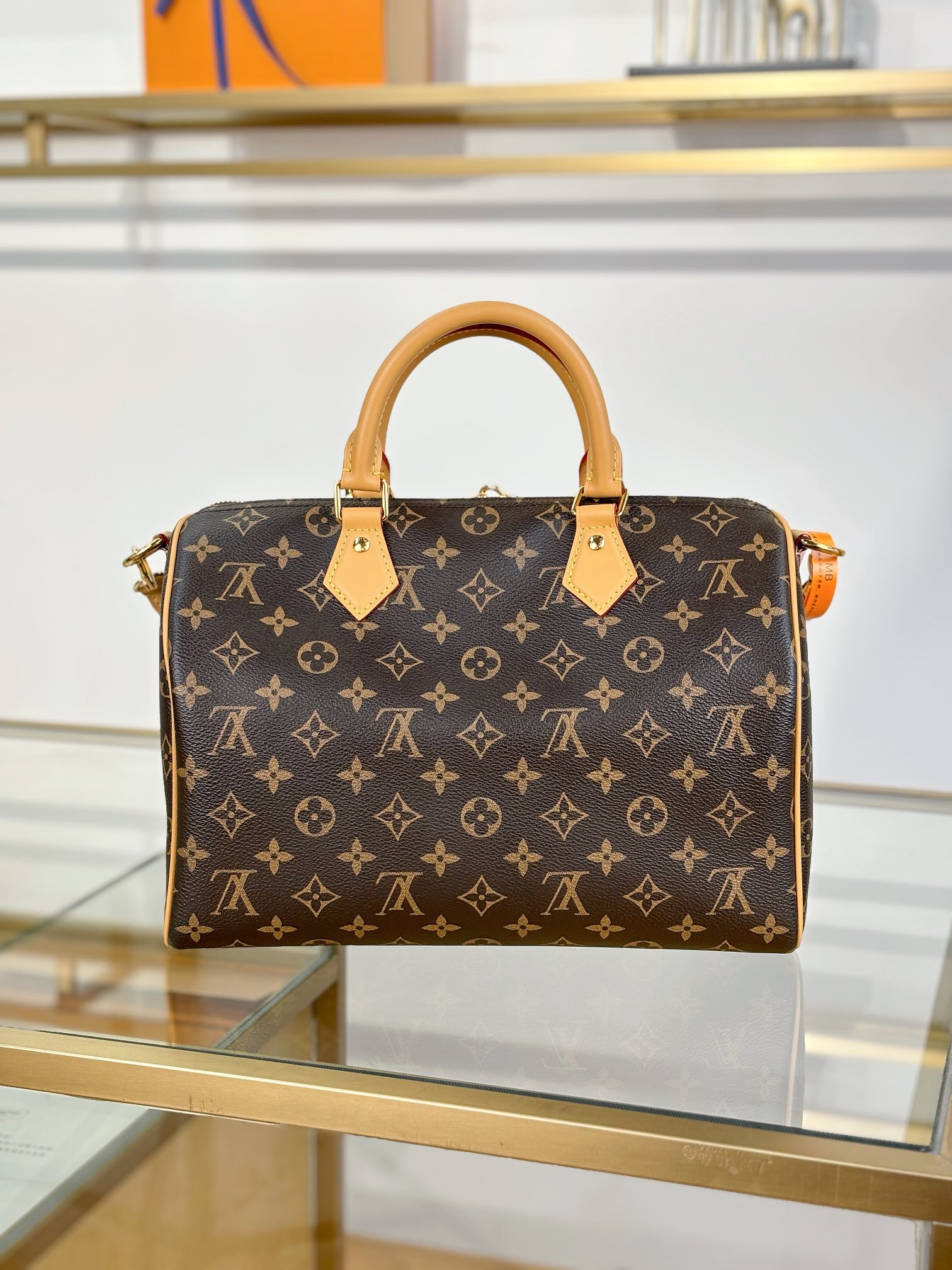Louis Vuitton SPEEDY SOFT 30 DARK Handbag M11945