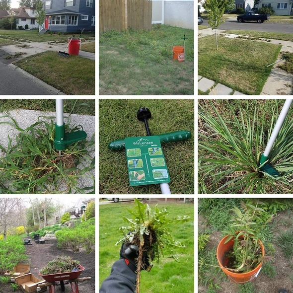 【💥💥HOT SALE】-Standing Weeder And Weed Puller