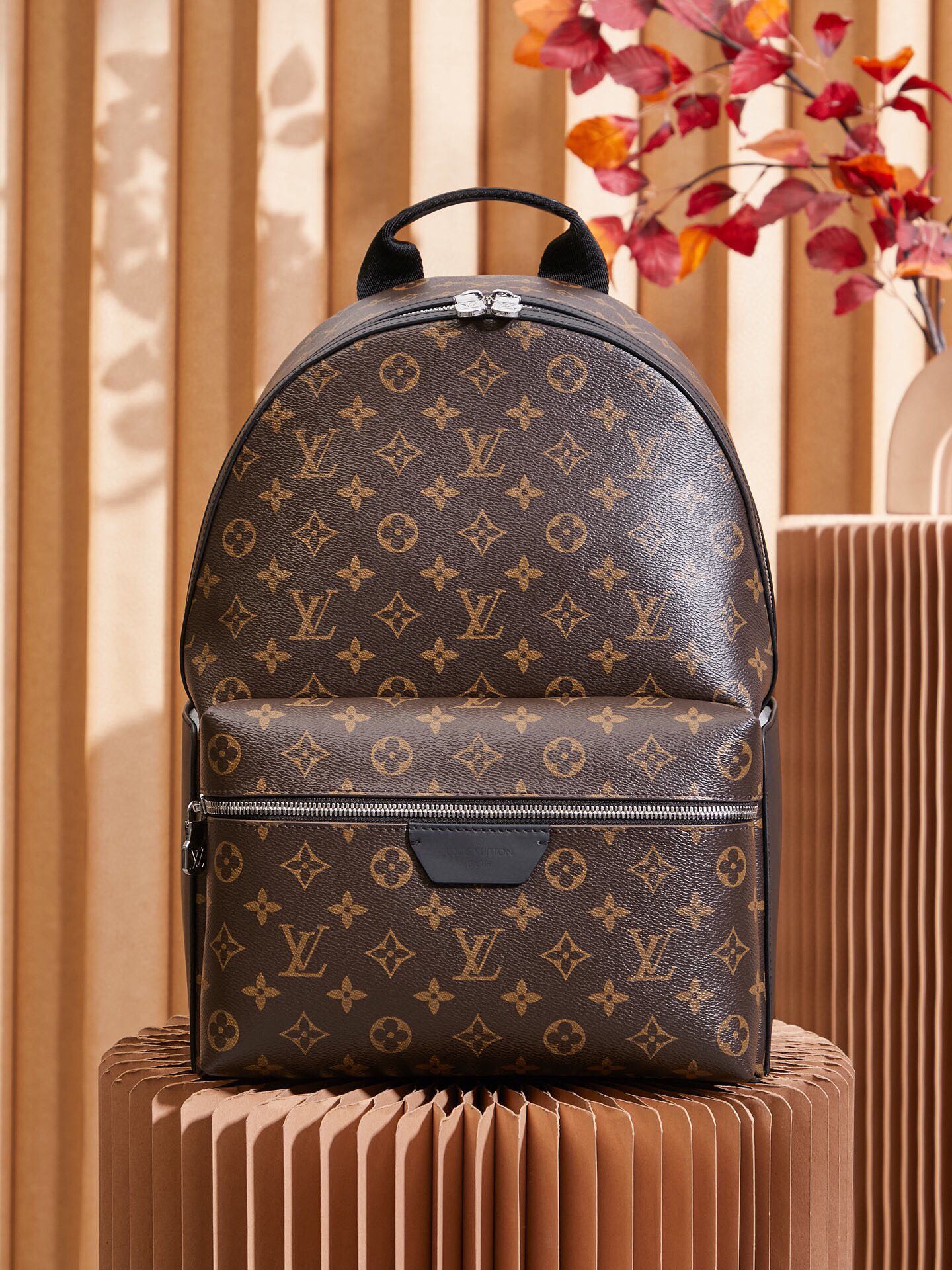 Louis Vuitton Discovery Backpack M46684
