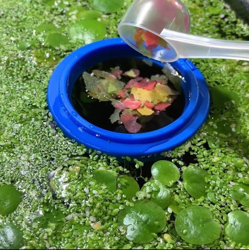 Fish Tank Ring Feeder Feeding Station