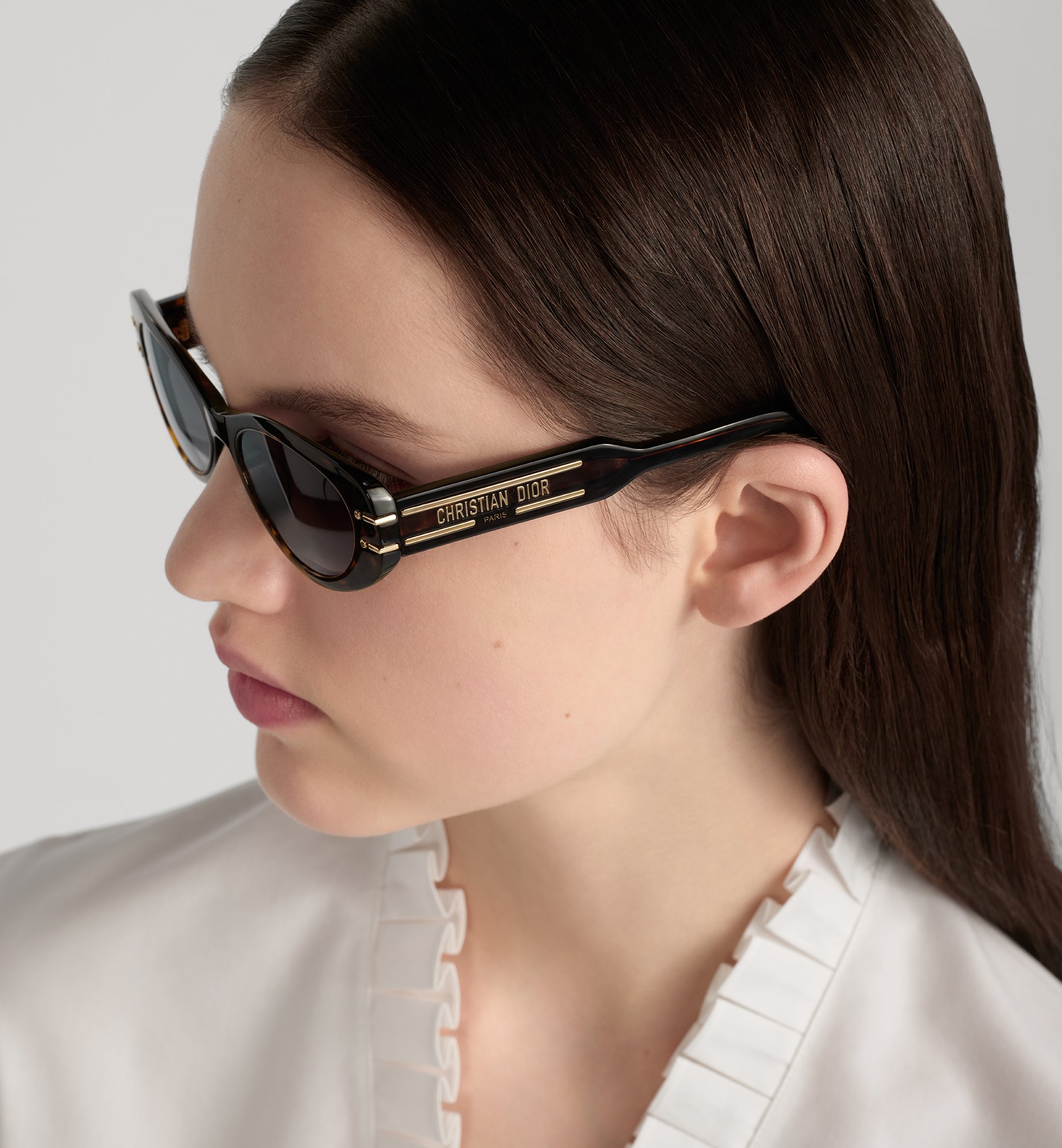 Dior DiorSignature B8U Sunglasses DSGTB8UXR_24A1