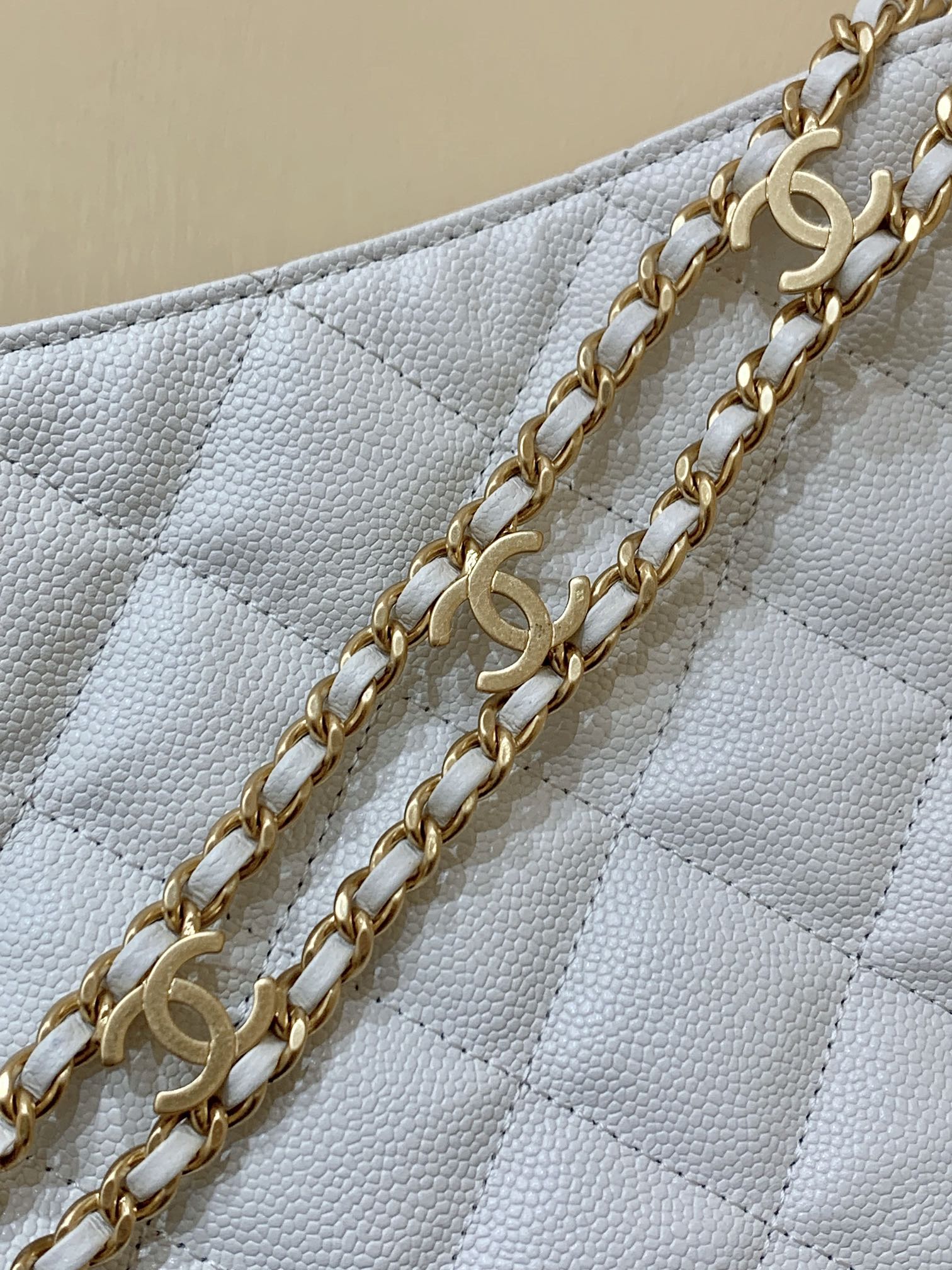Chanel 2022cc Spring/Summer Collection Hobo Underarm Bag AS3223