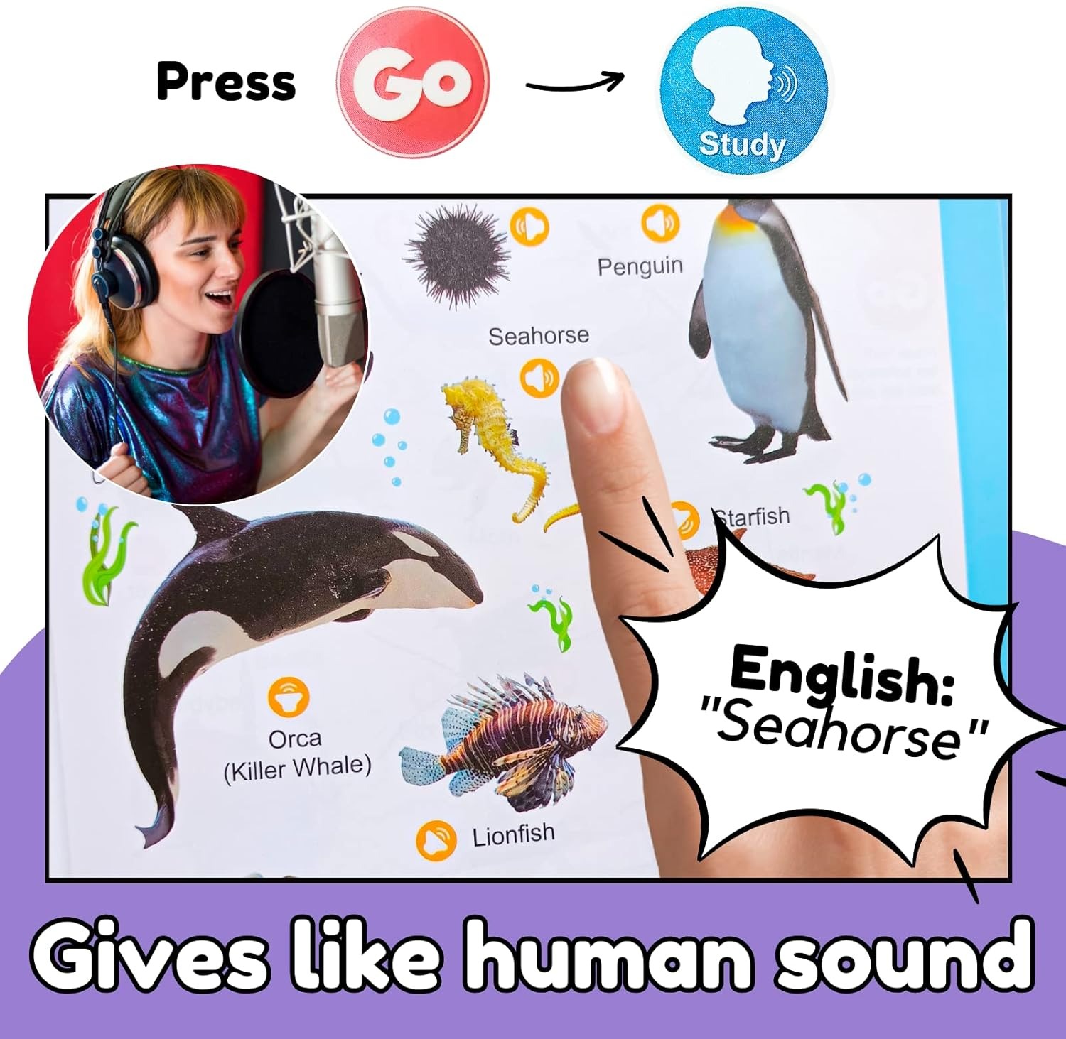 ✨Last Day 50% OFF✨My First English Words Sound Book,300+ Words Interactive Audio Sound Books for Toddlers