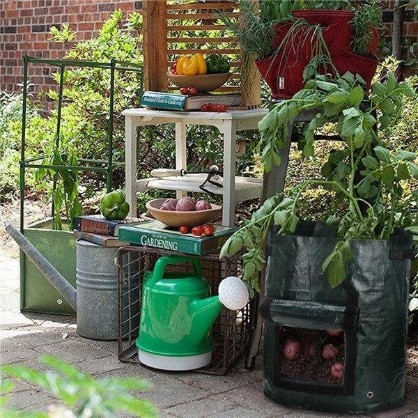 (🔥Last Day Promotion-SAVE 50% OFF)10 Gallons Large Capacity Vegetables Grow Planter PE Container Bag-BUY 4 GET 10% OFF & FREE SHIPPING