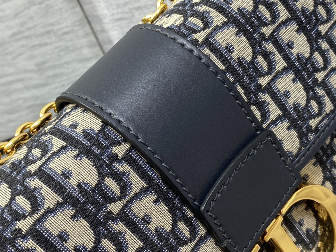 Dior Montaigne Chain Bag Large