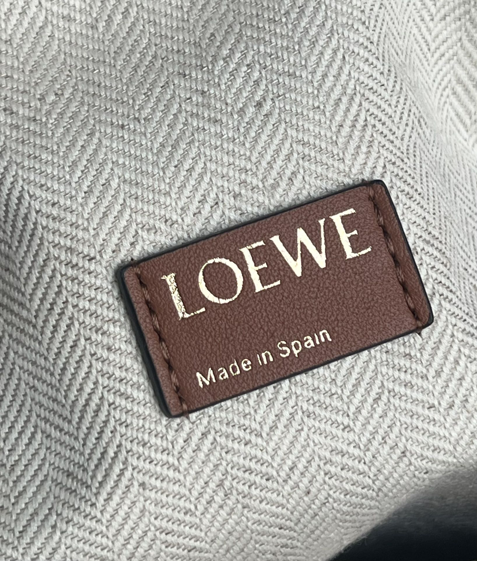 Loewe Cubi Embroidered Underarm Bag 0558