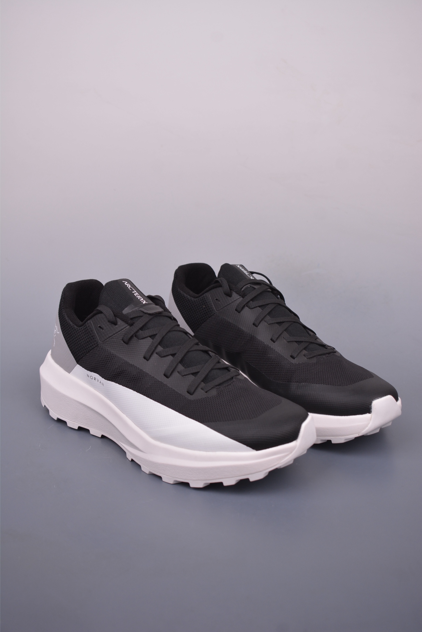 Arc'teryx Norvan LD 4 