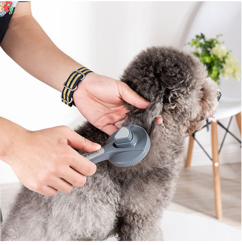 😻Pet Cleaning Slicker Brush (🔥Buy 2 Get 1 Free & Free Shipping)
