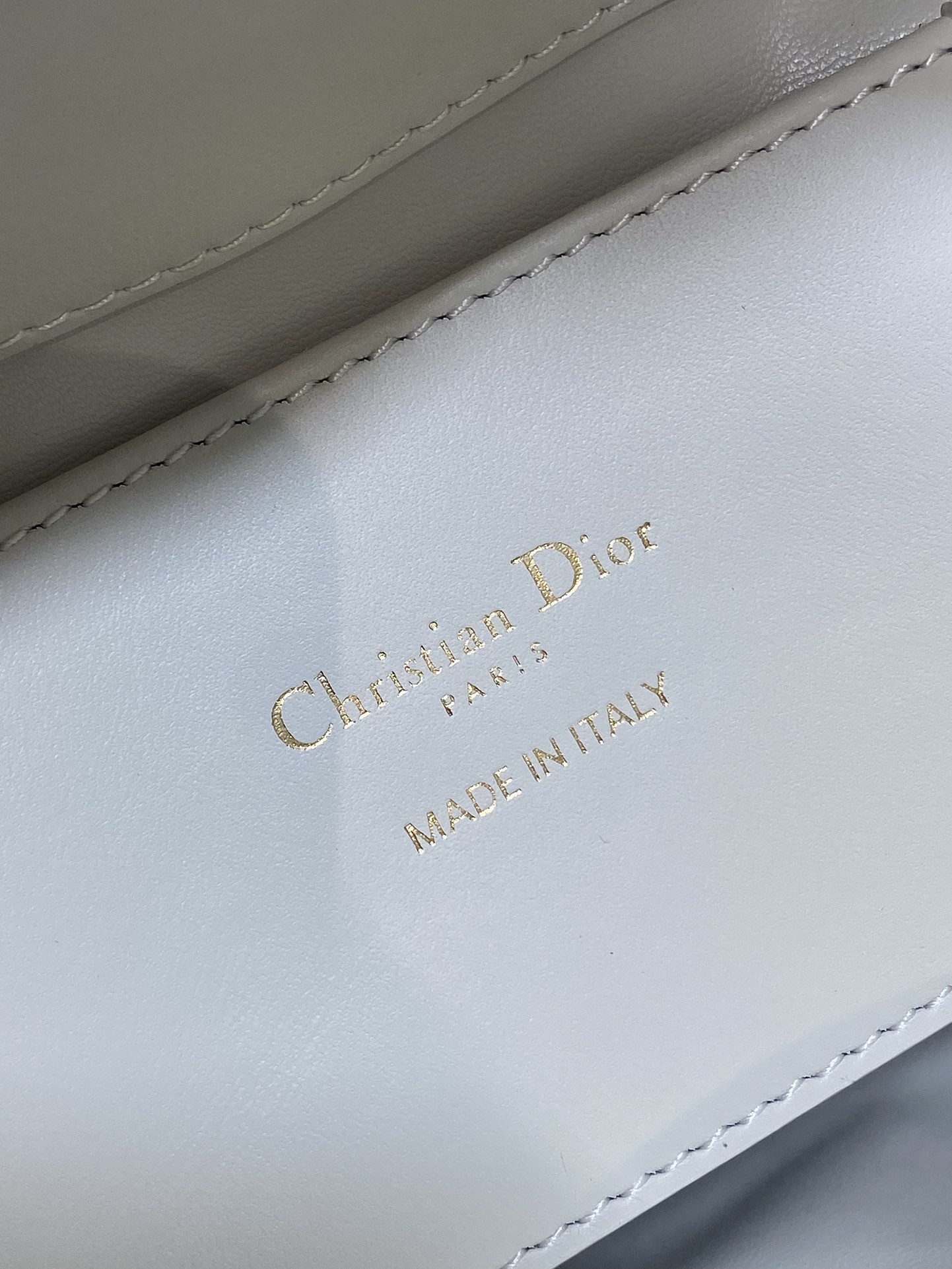 Dior Toujours vertical series mini