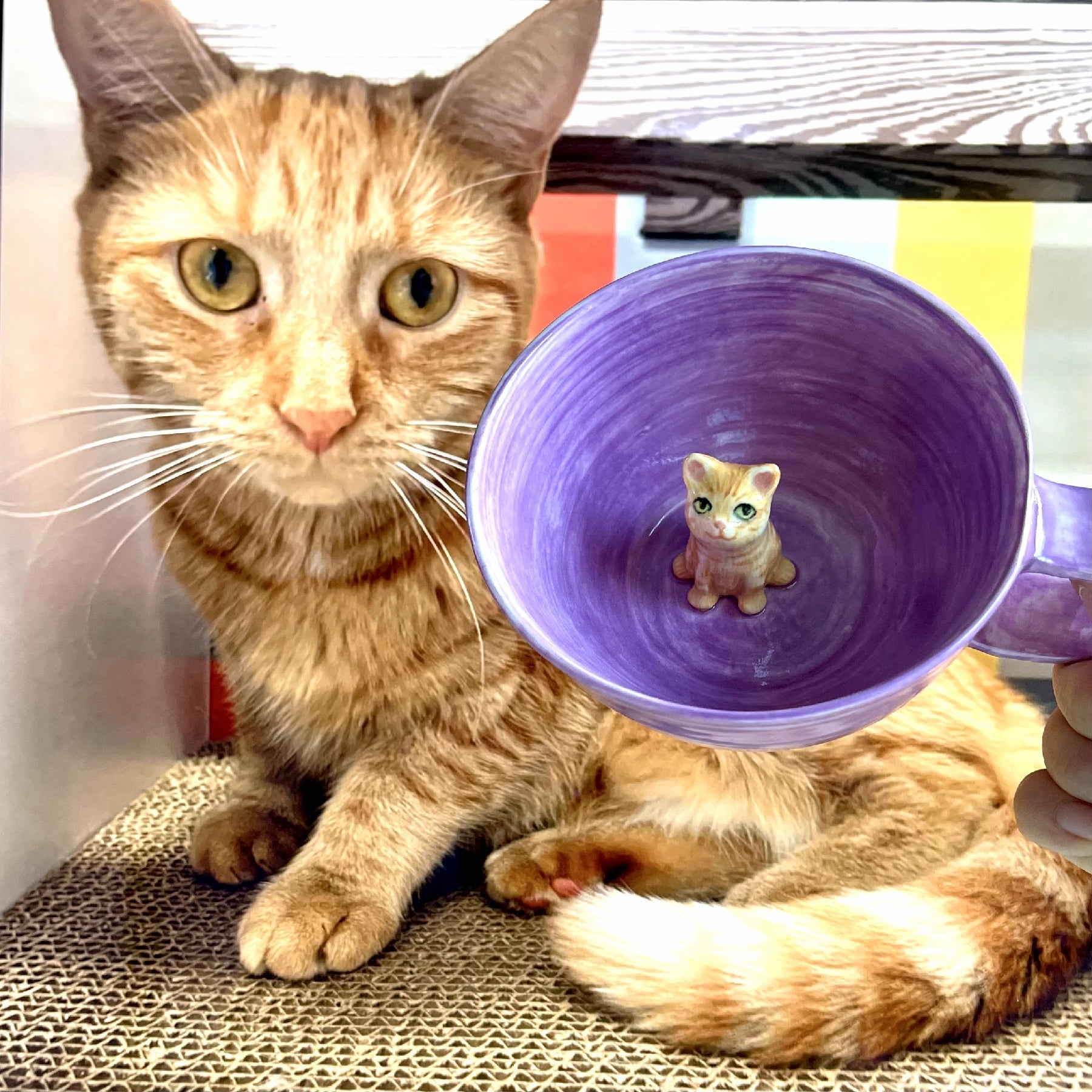 Custom Pet's Figure Ceramic Mug-Sponsor