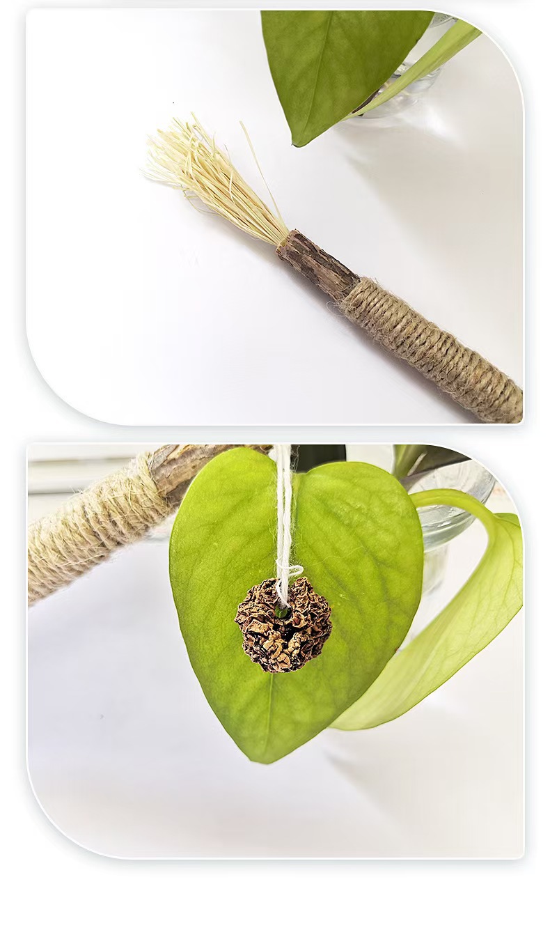 Natural Silvervine Stick Cat Chew Toy