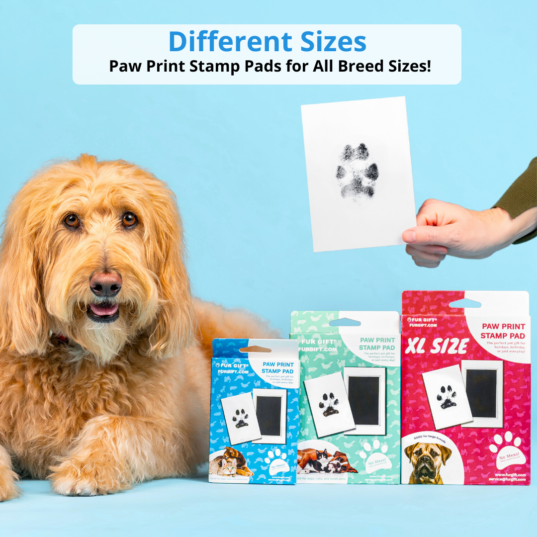 🐶Summer Hot Sale - 49% OFF 🐱Paw Print Stamp Pads