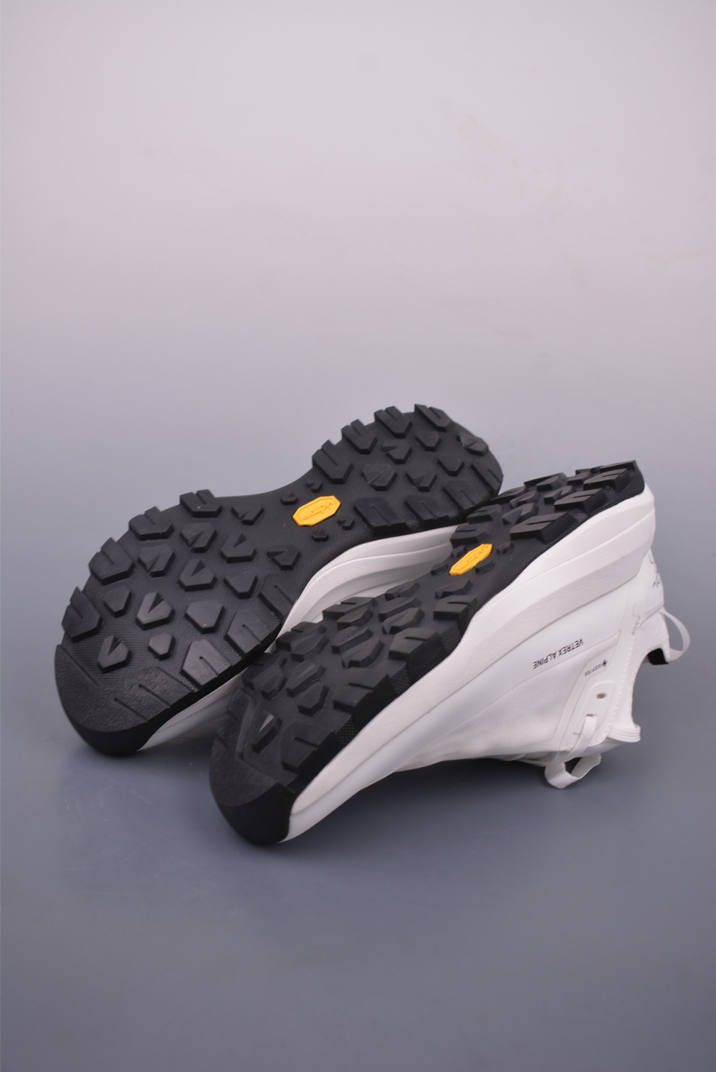 Arc'teryx Vertex Alpine GTX Sneakers White X000009018