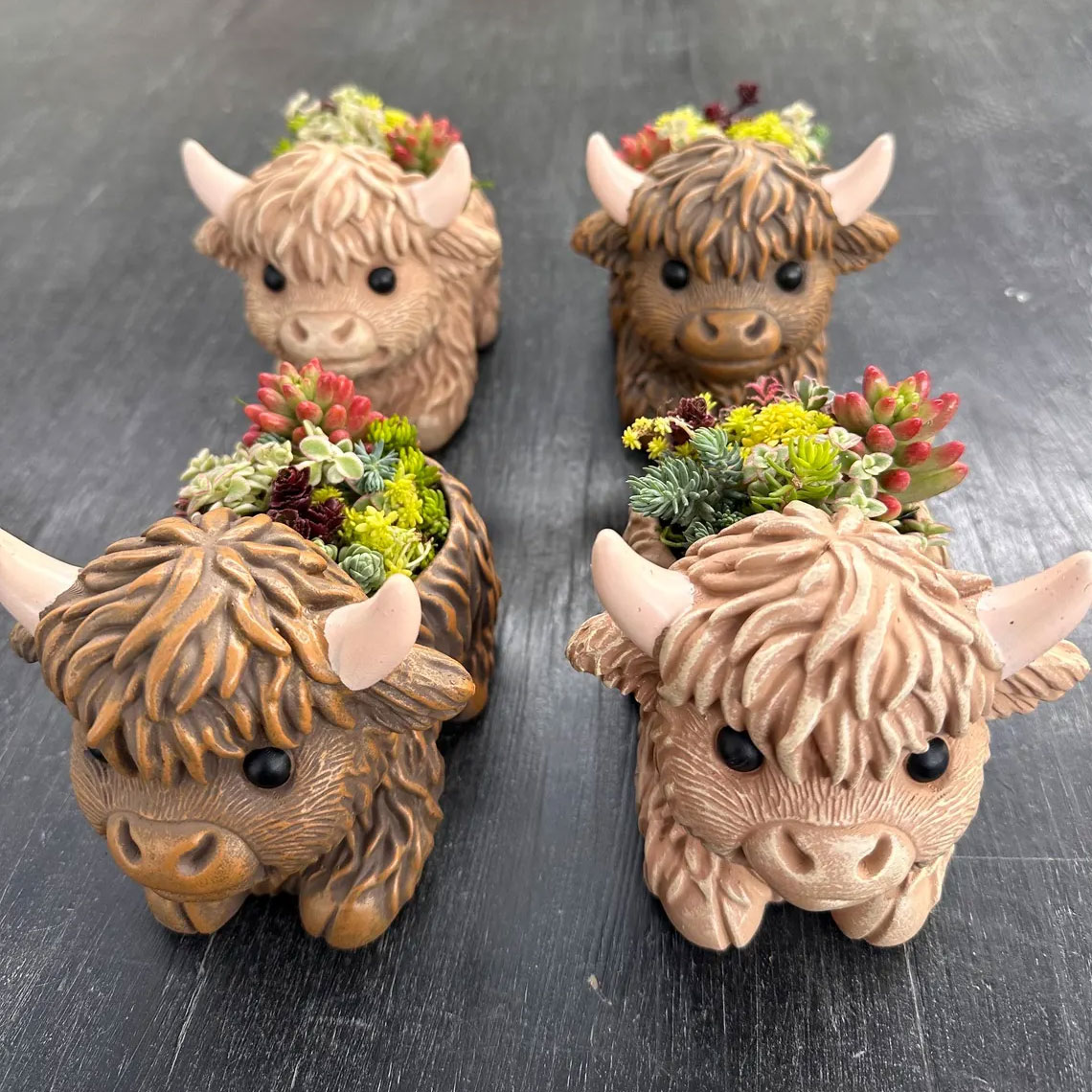 Mini Highland Cow Succulent Pot