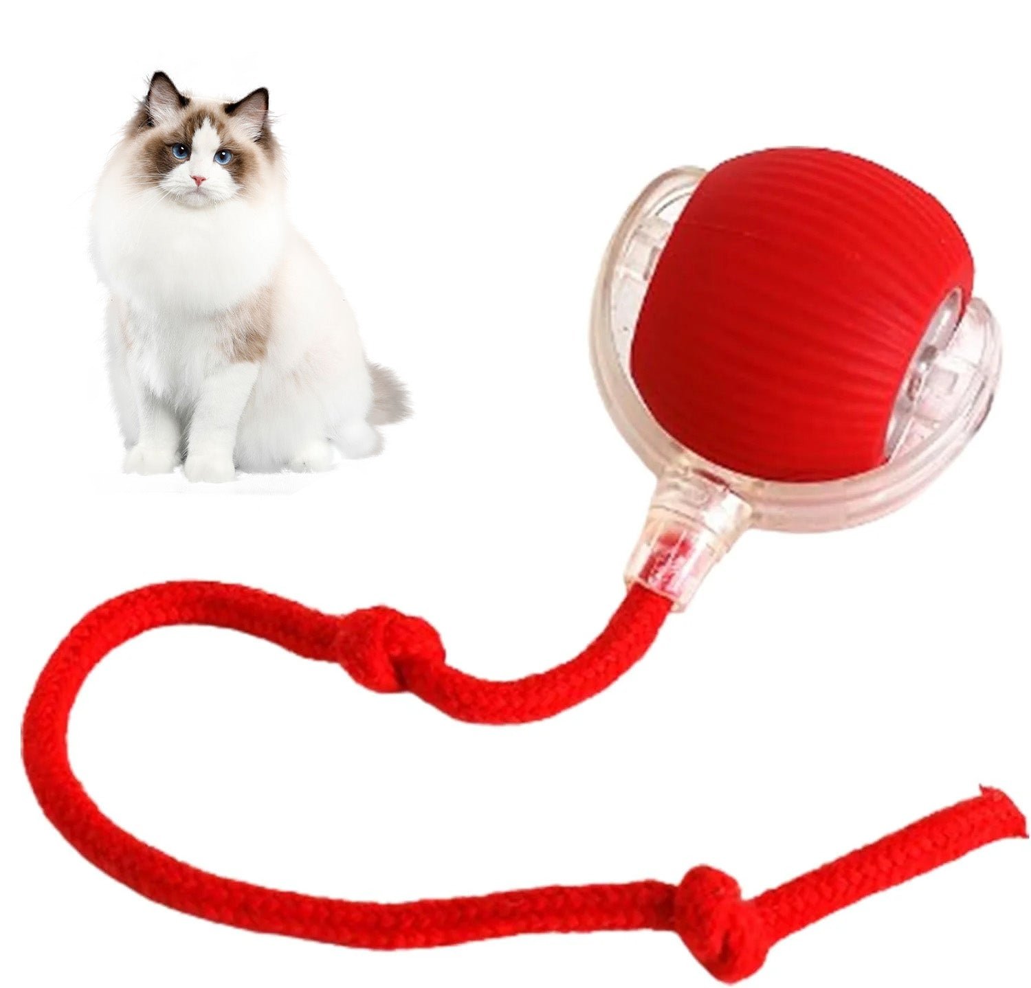 🔥Smart Interactive Pet Toy Ball🐾