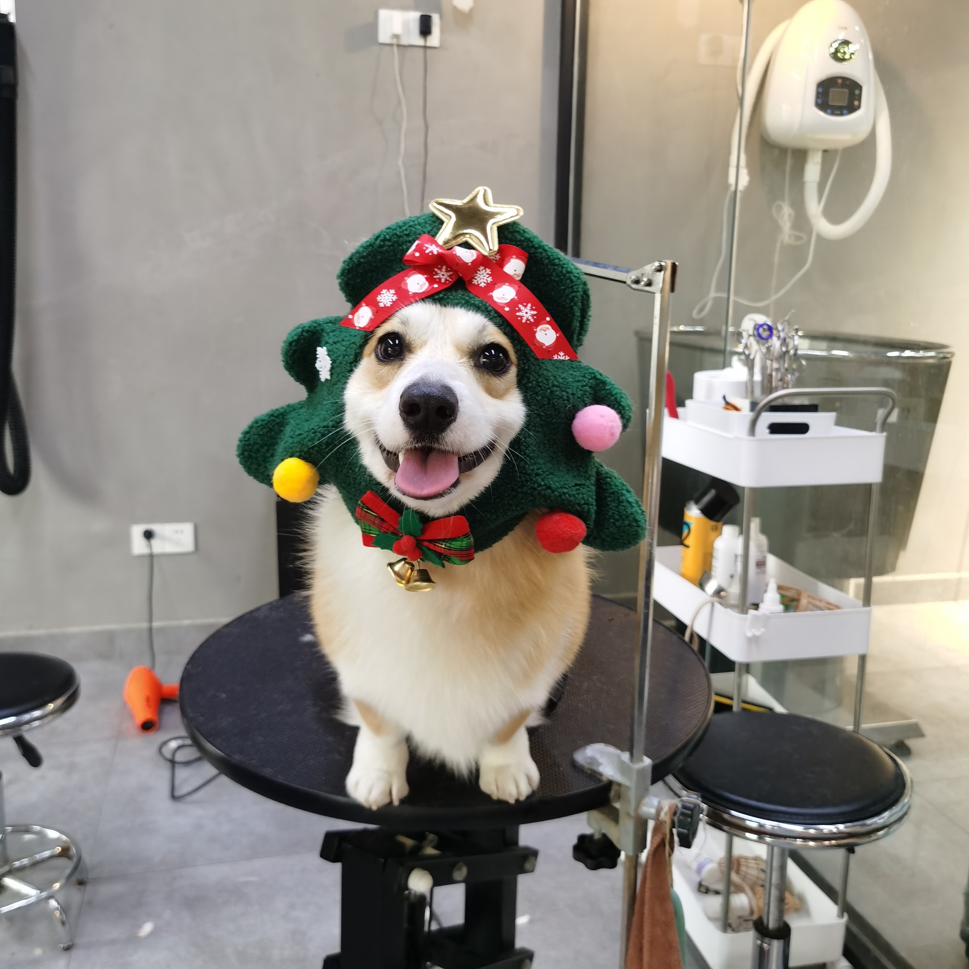 Handmade fleece Christmas Tree Costume Hat for Cat Dog