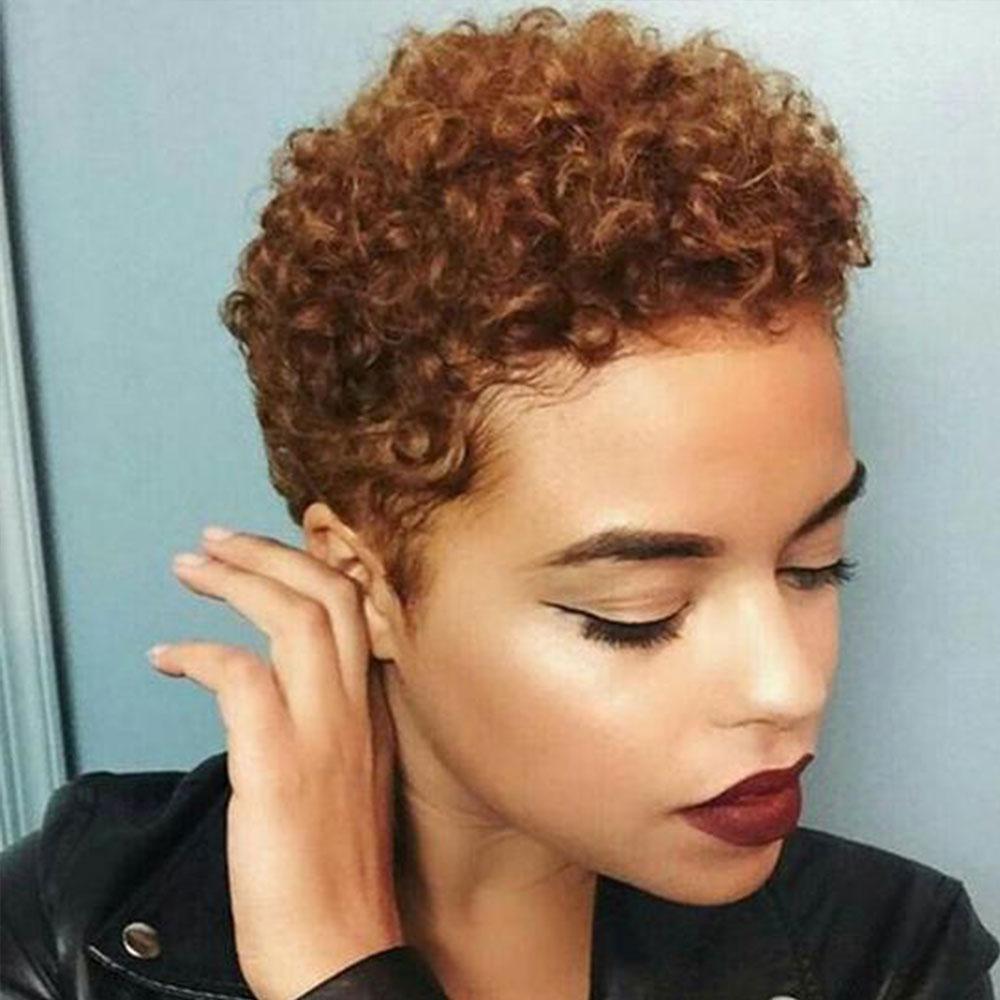 Luna 022 Women Afro Short Curly Hair Wig without Bangs