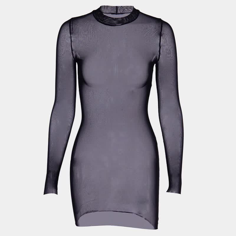 See Through Mesh Long Sleeve Dress