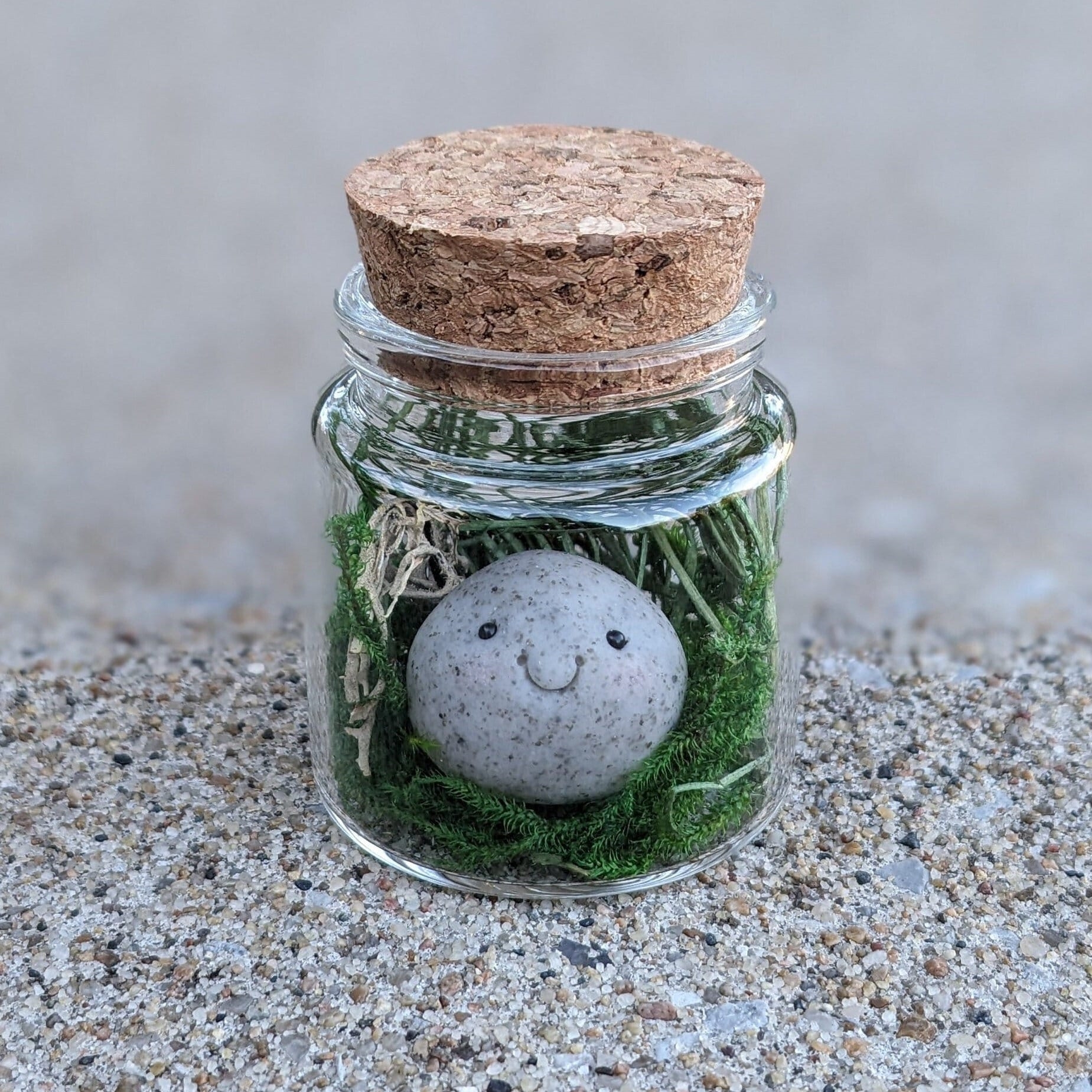 On Sale🔥Adopt A Rock Pet